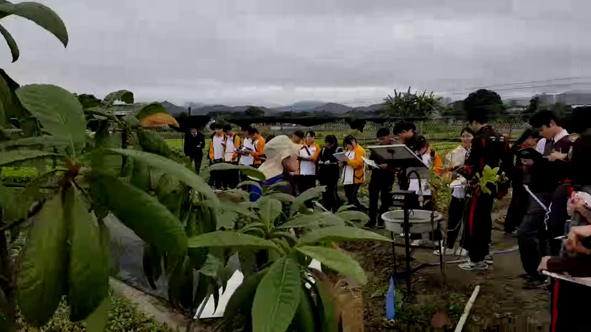 20160104_1139471part 2